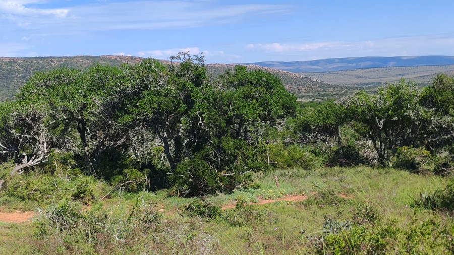 0 Bedroom Property for Sale in Somerset East Rural Eastern Cape